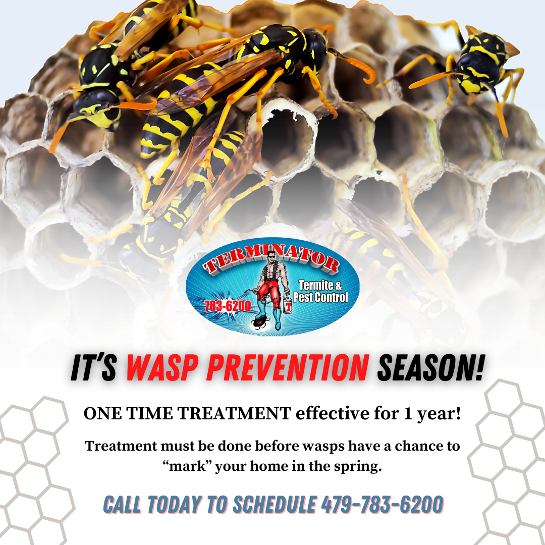 Terminator Termite Pest Control